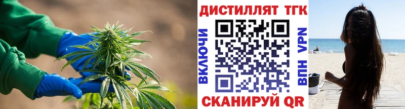 kraken как войти  Грязовец  Дистиллят ТГК Wax 