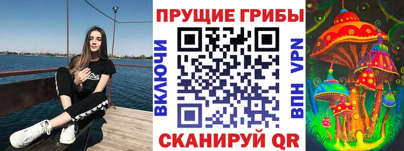 как найти   Грязовец  гидра рабочий сайт  Псилоцибиновые грибы Psilocybine cubensis 