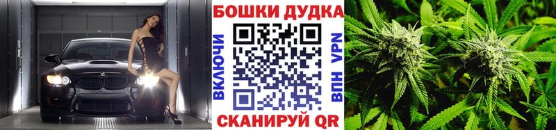 Бошки марихуана Bruce Banner  продажа наркотиков  kraken как зайти  Грязовец 